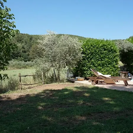 Nel Bosco, Scappo In Umbria *