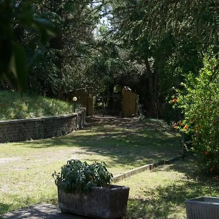 Nel Bosco, Scappo In Umbria *