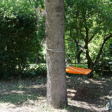 Nel Bosco, Scappo In Umbria Alloggio in famiglia Amelia