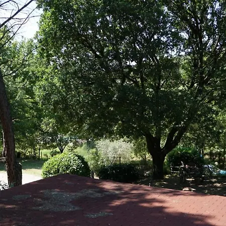 Nel Bosco, Scappo In Umbria Alloggio in famiglia *
