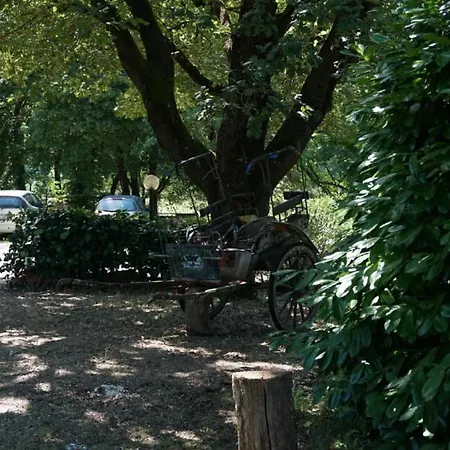 Nel Bosco, Scappo In Umbria Alloggio in famiglia Amelia